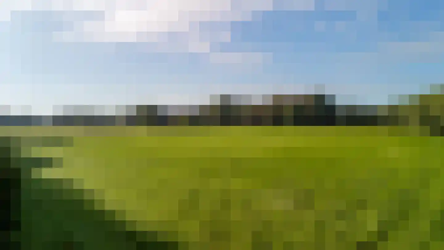 Meerstraat Heeswijk-Dinther thumbnail 4