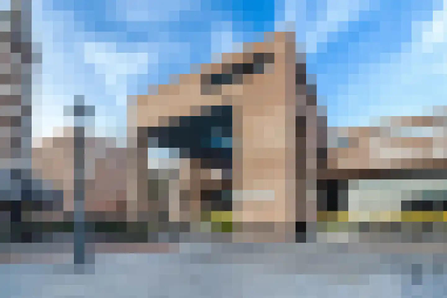 Meerten Verhoffstraat 10 D23 Breda thumbnail 43