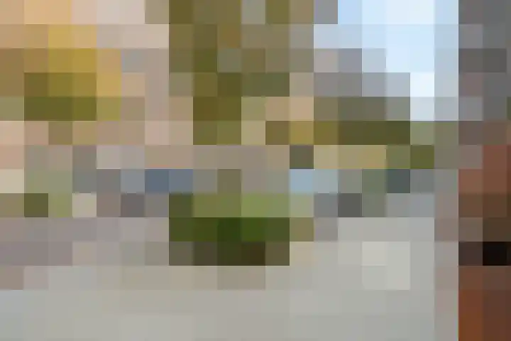 Meerten Verhoffstraat 12 D Breda thumbnail 33