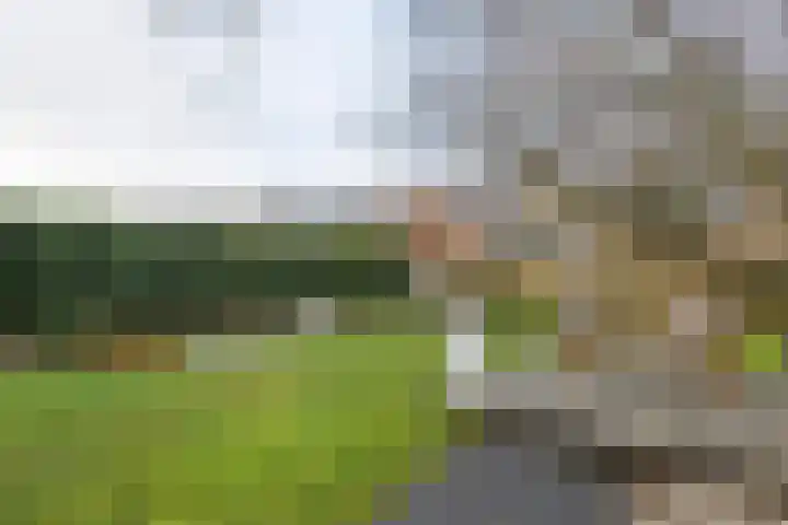 Meertenshof 18 Maurik thumbnail 10
