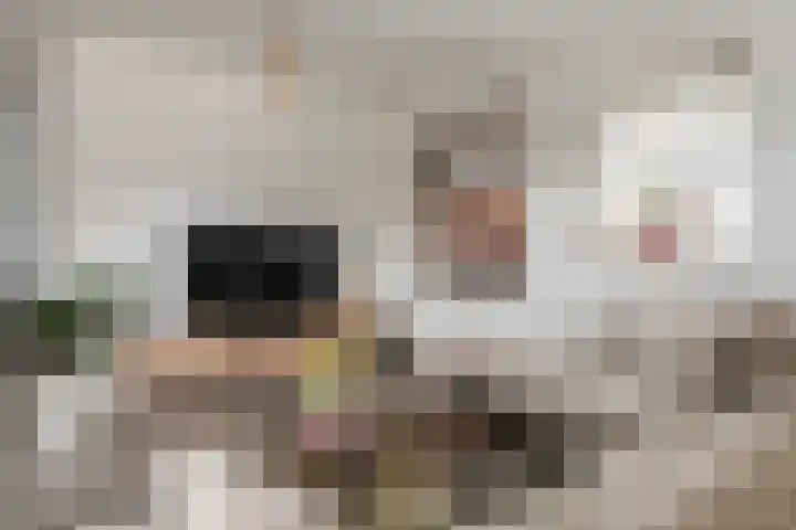 Meertenshof 18 Maurik thumbnail 19