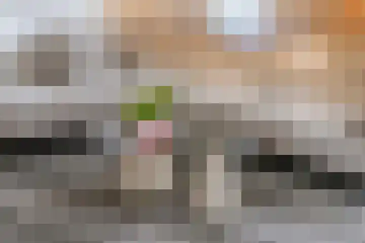 Meertenshof 18 Maurik thumbnail 21