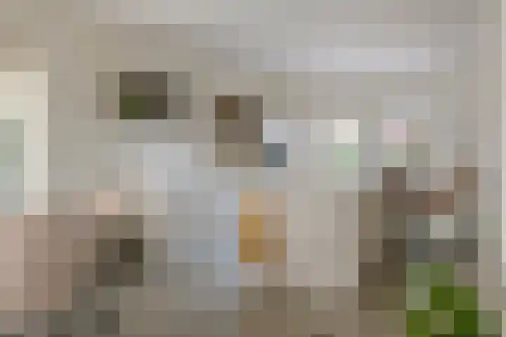 Meertenshof 18 Maurik thumbnail 24