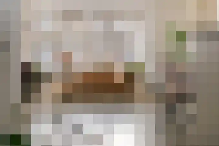 Meertenshof 18 Maurik thumbnail 32