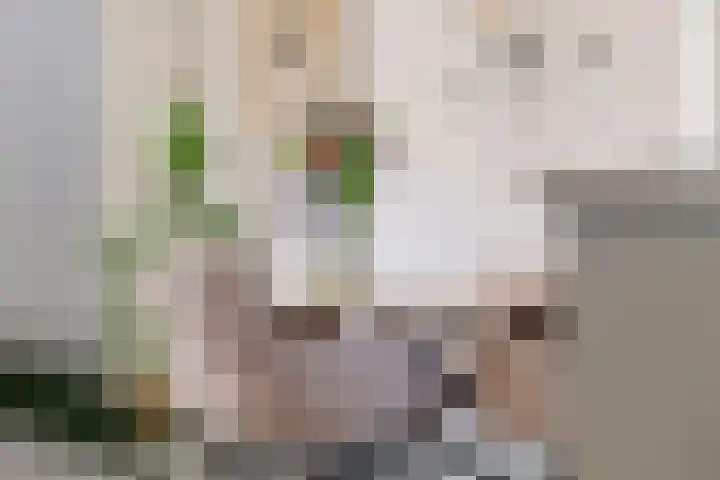 Meertenshof 18 Maurik thumbnail 33