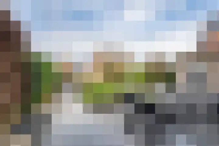 Meertenshof 18 Maurik thumbnail 4