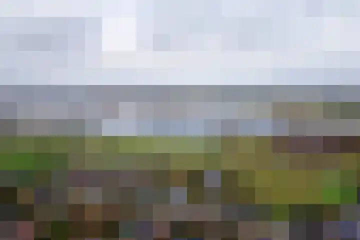 Meertenshof 18 Maurik thumbnail 49