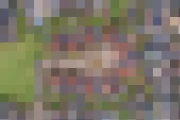 Meertenshof 18 Maurik thumbnail 50
