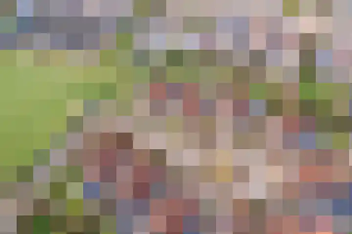 Meertenshof 18 Maurik thumbnail 51