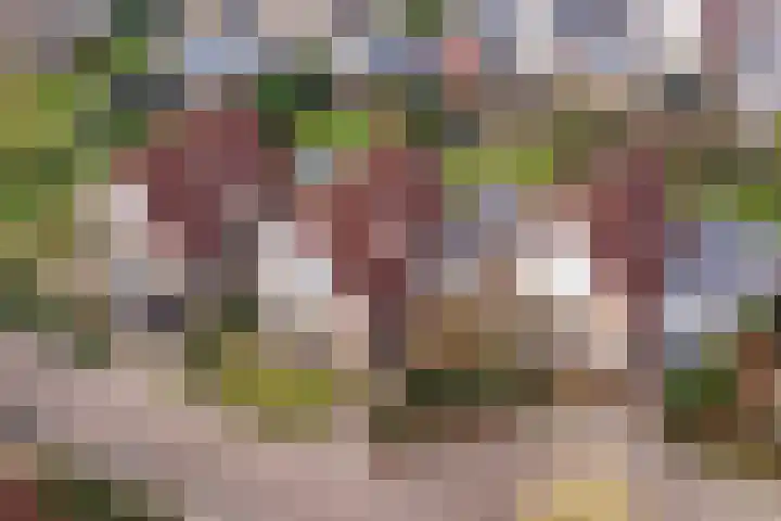 Meertenshof 18 Maurik thumbnail 52