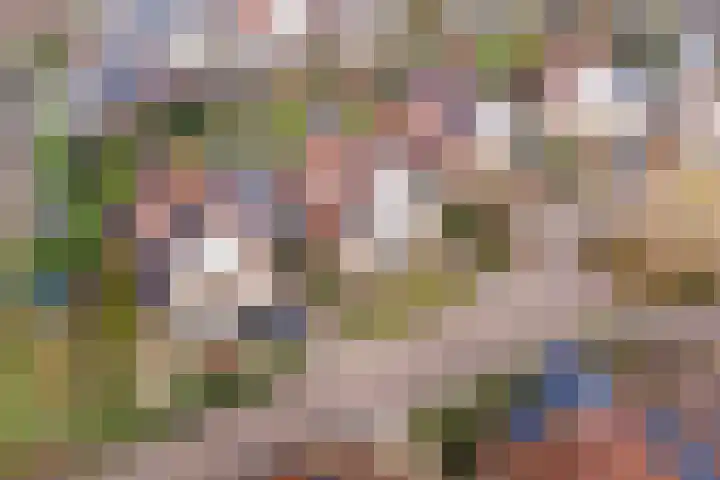 Meertenshof 18 Maurik thumbnail 53