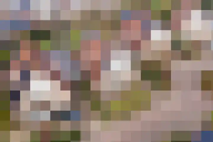Meertenshof 18 Maurik thumbnail 54
