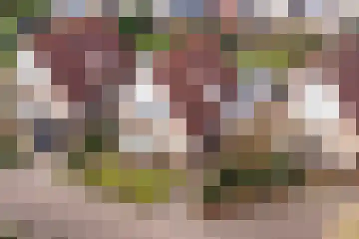 Meertenshof 18 Maurik thumbnail 55