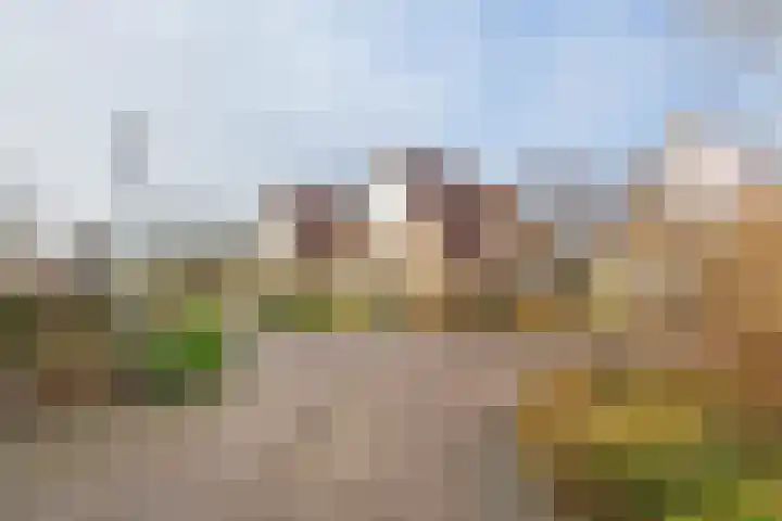 Meertenshof 18 Maurik thumbnail 57