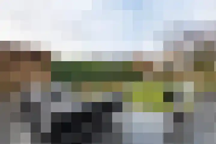 Meertenshof 18 Maurik thumbnail 6