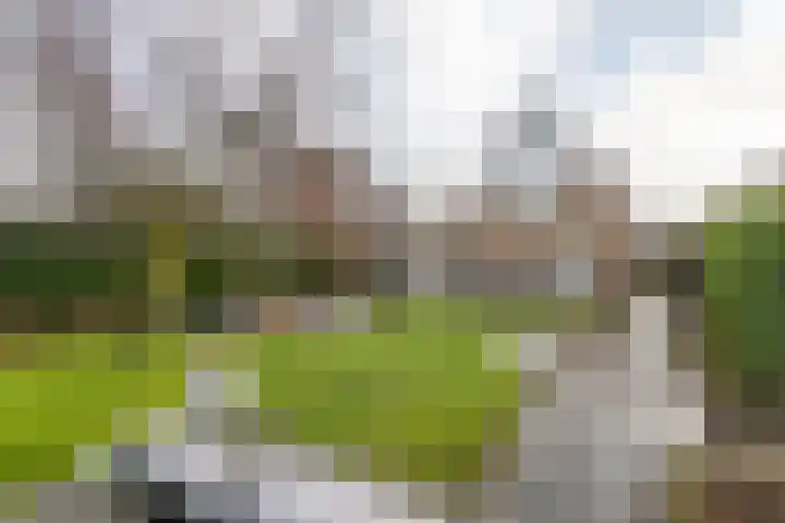 Meertenshof 18 Maurik thumbnail 7