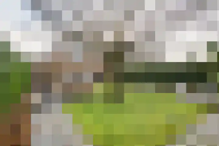 Meertenshof 18 Maurik thumbnail 8