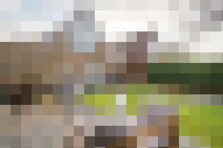 Meertenshof 18 Maurik thumbnail 9