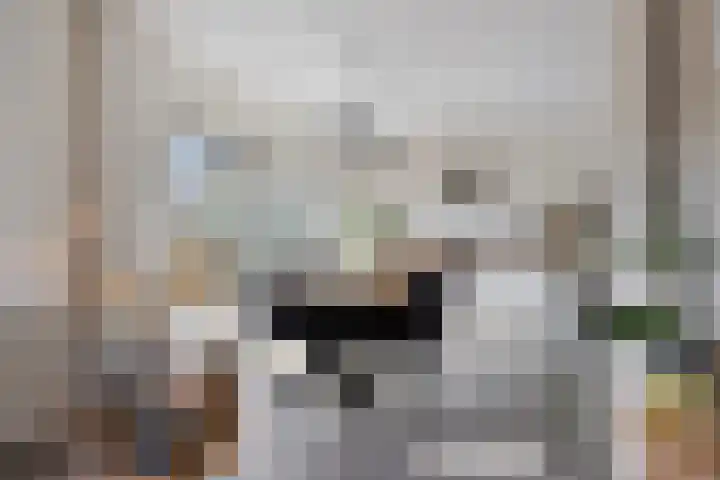 Meertensweg 10 Gieterveen thumbnail 10