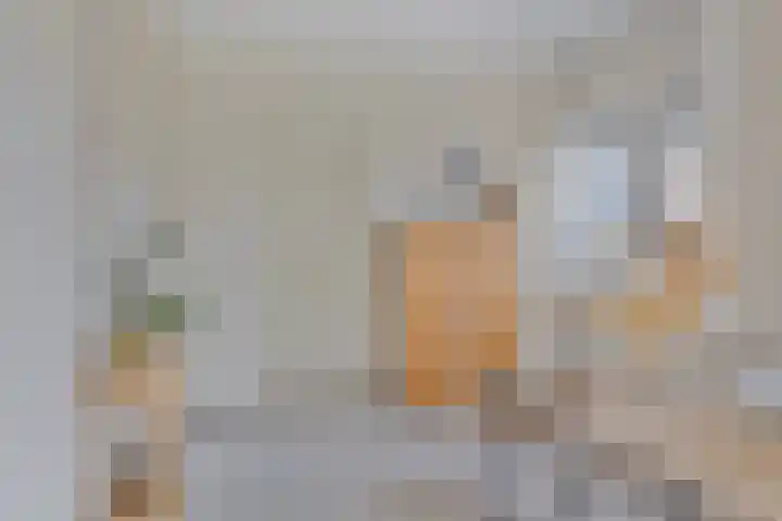 Meertensweg 10 Gieterveen thumbnail 11