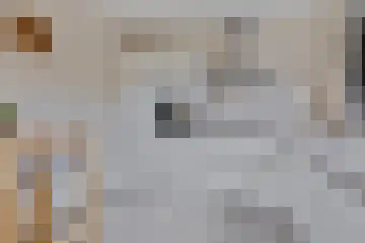 Meertensweg 10 Gieterveen thumbnail 13
