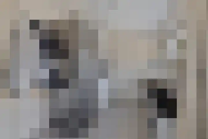 Meertensweg 10 Gieterveen thumbnail 14