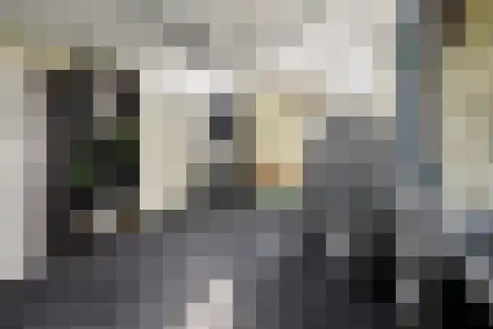 Meertensweg 10 Gieterveen thumbnail 16