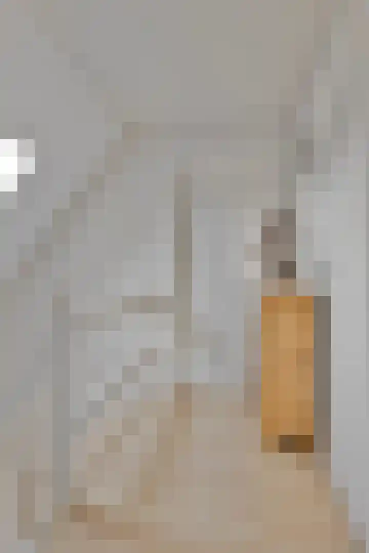 Meertensweg 10 Gieterveen thumbnail 20