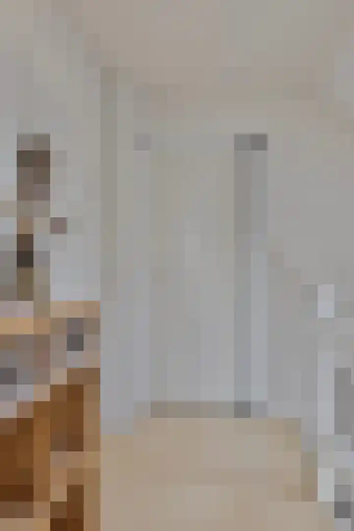 Meertensweg 10 Gieterveen thumbnail 21