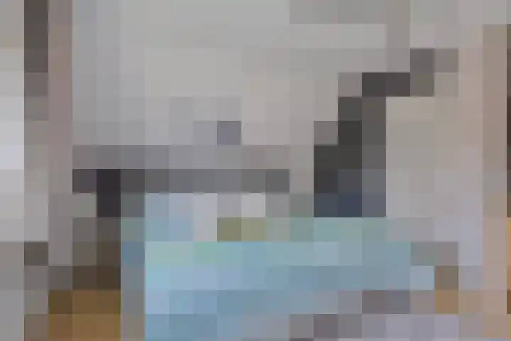 Meertensweg 10 Gieterveen thumbnail 22