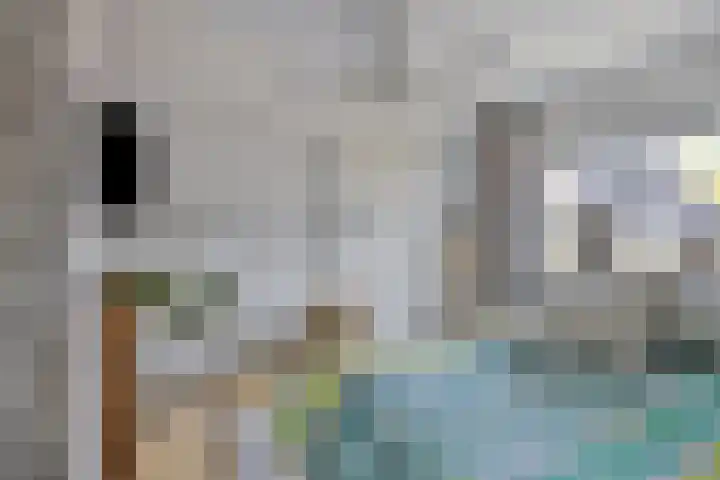Meertensweg 10 Gieterveen thumbnail 23