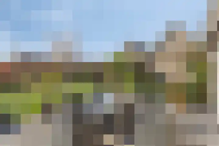 Meertensweg 10 Gieterveen thumbnail 29