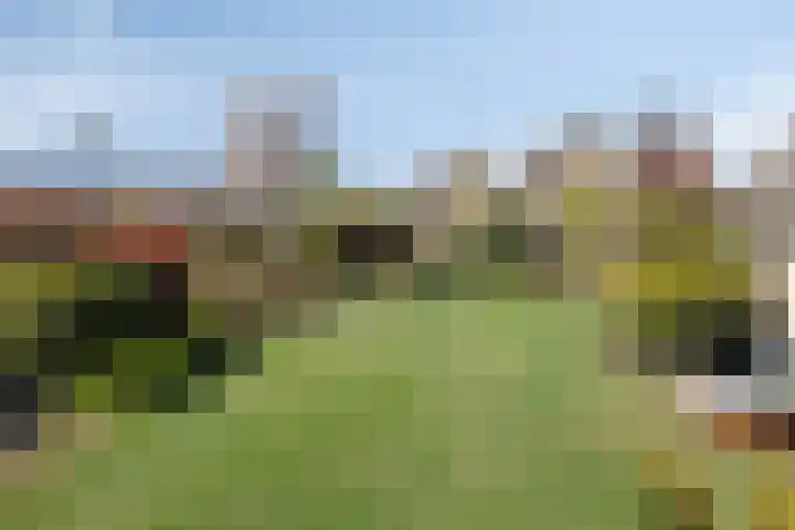 Meertensweg 10 Gieterveen thumbnail 31