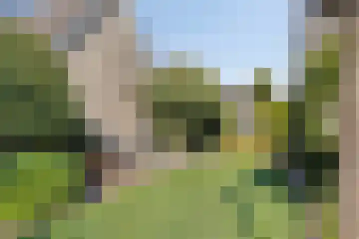 Meertensweg 10 Gieterveen thumbnail 32