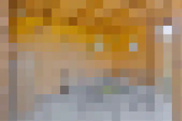 Meertensweg 10 Gieterveen thumbnail 34