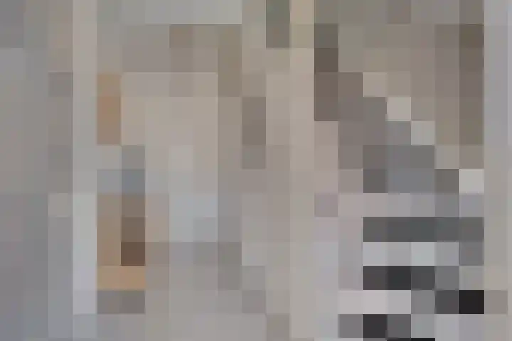 Meertensweg 10 Gieterveen thumbnail 4
