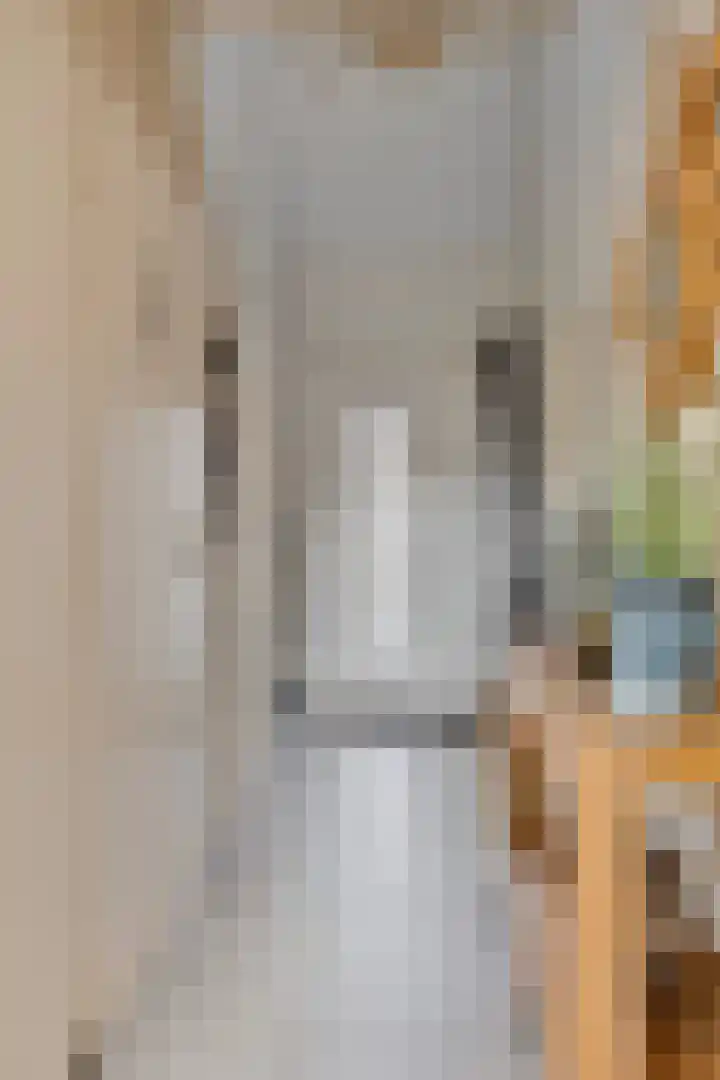 Meertensweg 10 Gieterveen thumbnail 5