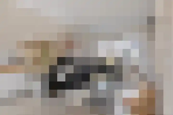 Meertensweg 10 Gieterveen thumbnail 8