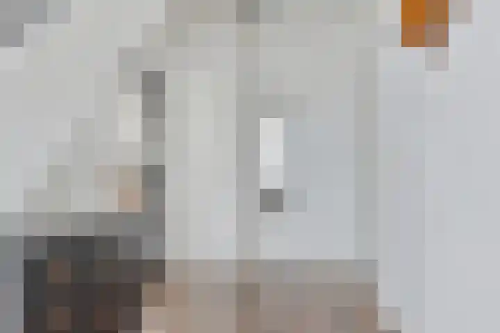 Meertensweg 21 Gieterveen thumbnail 10