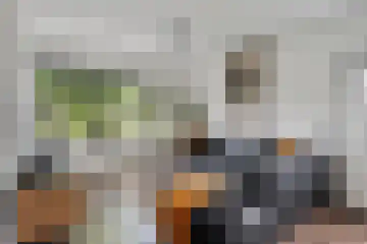 Meertensweg 21 Gieterveen thumbnail 13