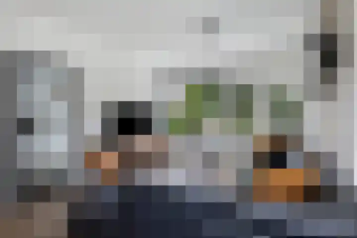 Meertensweg 21 Gieterveen thumbnail 14