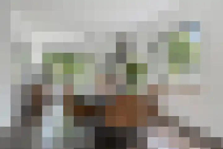 Meertensweg 21 Gieterveen thumbnail 16