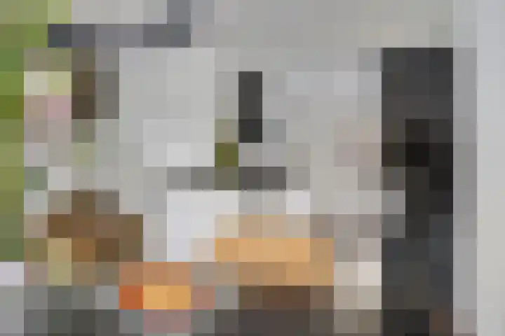 Meertensweg 21 Gieterveen thumbnail 17