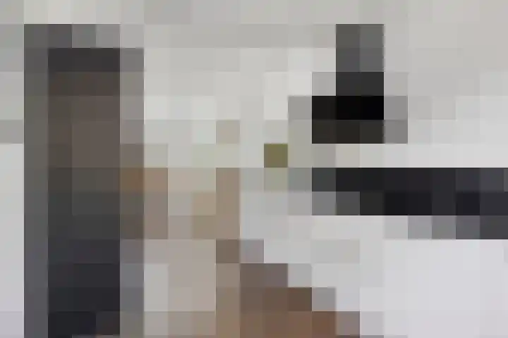 Meertensweg 21 Gieterveen thumbnail 19