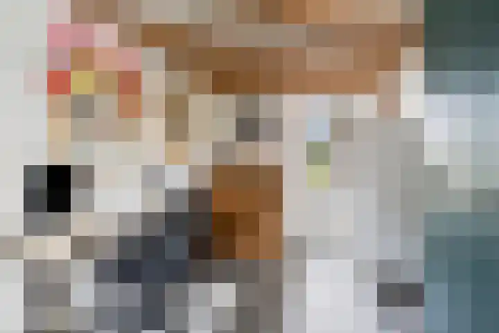 Meertensweg 21 Gieterveen thumbnail 25