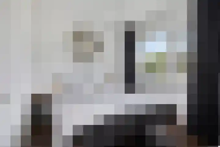 Meertensweg 21 Gieterveen thumbnail 26