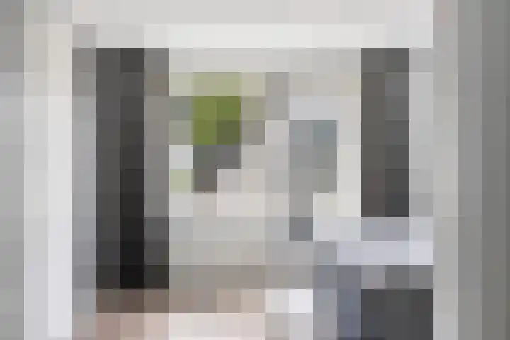 Meertensweg 21 Gieterveen thumbnail 29