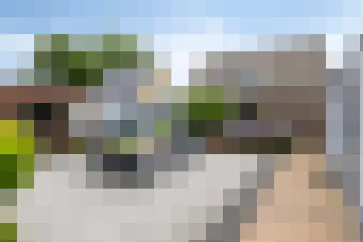 Meertensweg 21 Gieterveen thumbnail 38