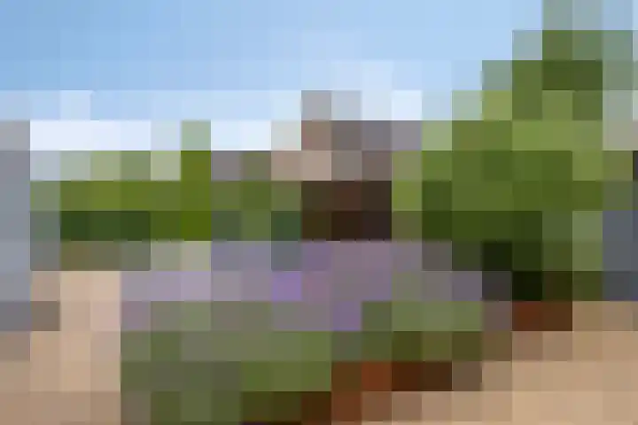 Meertensweg 21 Gieterveen thumbnail 39