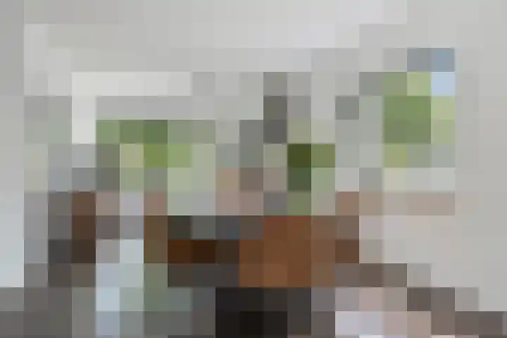 Meertensweg 21 Gieterveen thumbnail 4